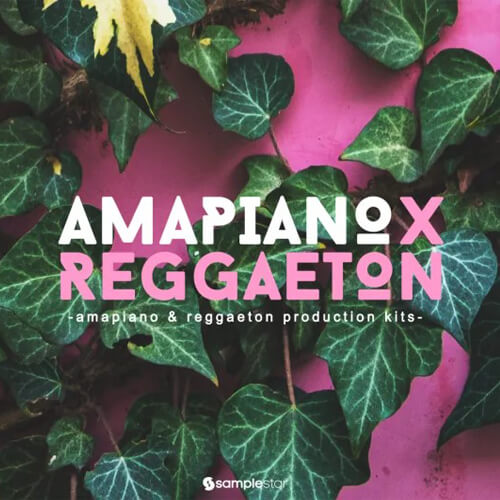 پکیج لوپ و سمپل Amapiano X Reggaeton –Vol.1