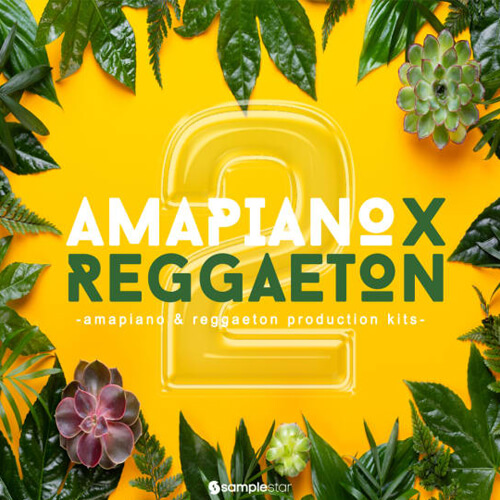 پکیج لوپ و سمپل Amapiano X Reggaeton  v2
