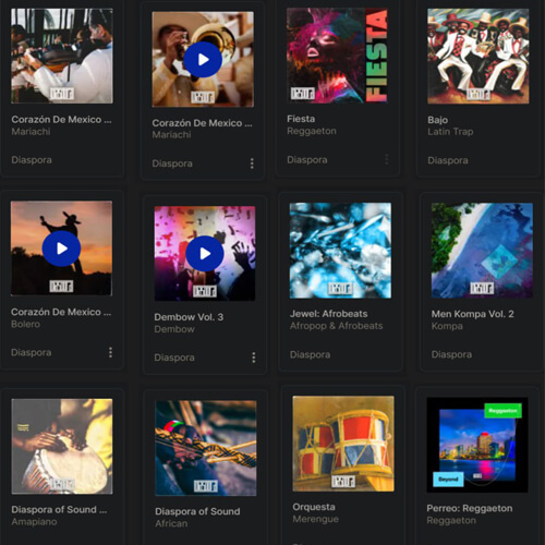 پکیج کامل لوپ و سمپل های (DIASPORA BUNDLE (2024