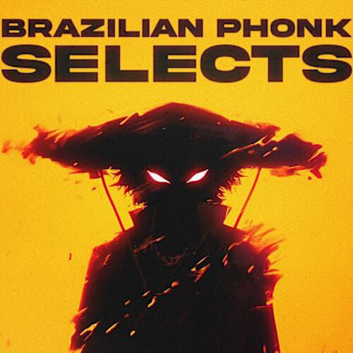پکیج لوپ و سمپل  Brazilian Phonk Selects