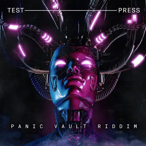 پکیج لوپ و سمپل Panic Vault Riddim