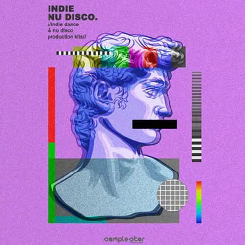 پکیج لوپ و سمپل Samplestar Indie Nu Disco-FANTASTiC