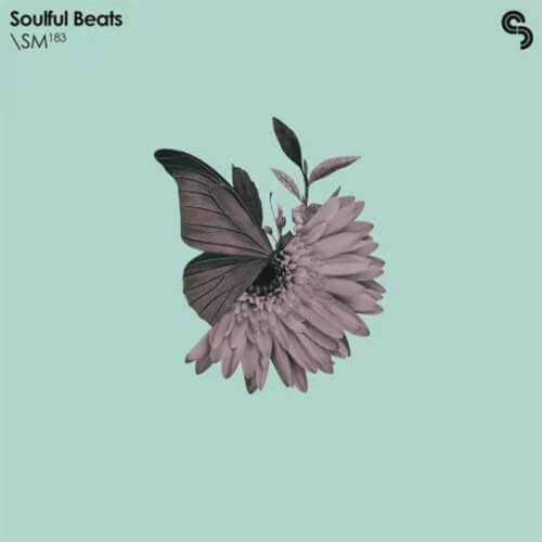 پکیج لوپ و سمپل Soulful Beats